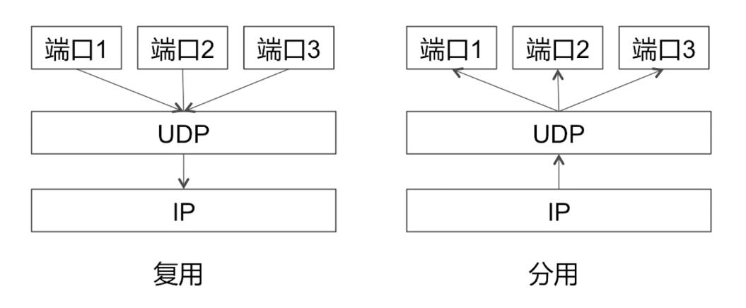 复用&分用