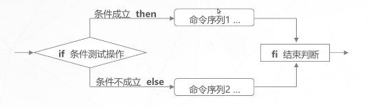 双分支结构