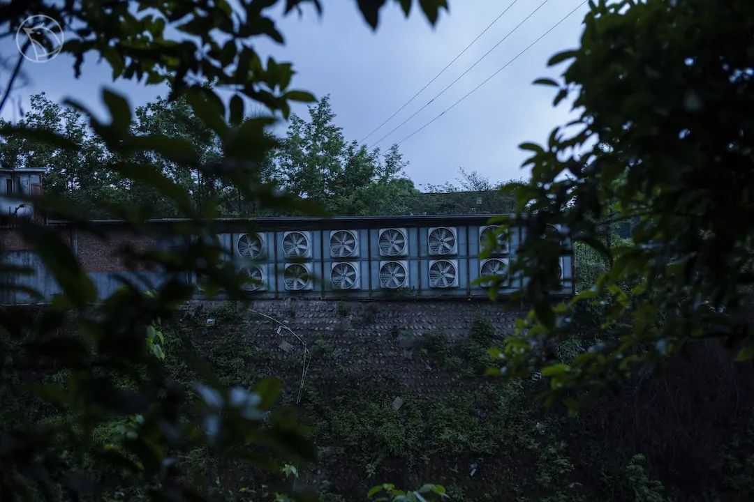 小镇破厂房里，怀揣暴富梦的青年在疯狂挖矿｜谷雨影像