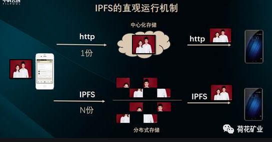 FIL挖矿：猪币狗币鸡犬升天，动物园主宰币圈的今天,FIL才是最后赢家！