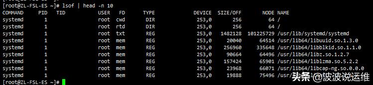 详解Linux系统中的lsmod、lsof、lspci、lsscsi命令及实例