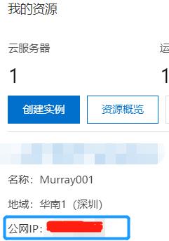 查看云服务器IP