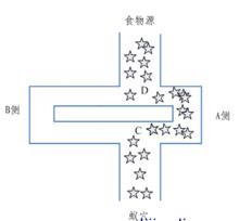 最终蚁群爬行路线