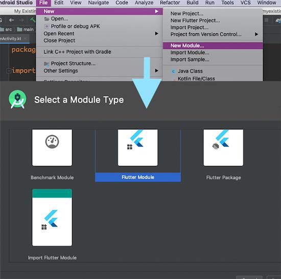 引入外部 Flutter 模块