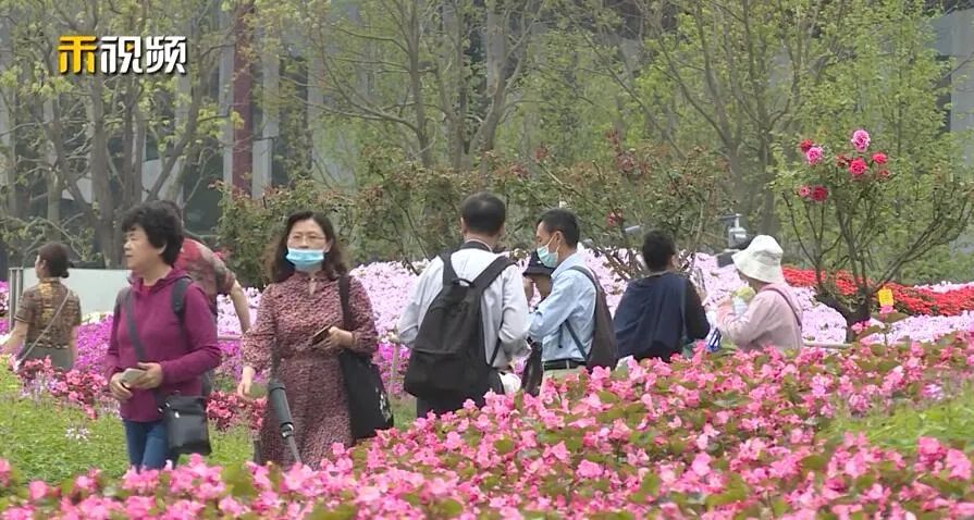 花博园今日启动首次全负荷压力测试