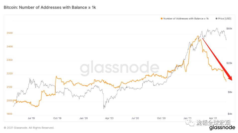 Musk批评Bitcoin中心化 印证了我们的观点：数字货币是庞氏骗局 | 数字货币