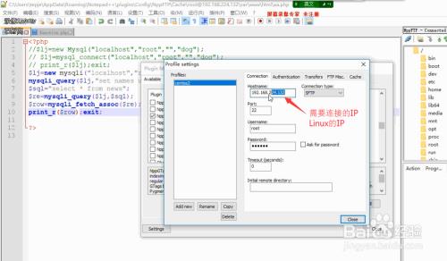 notepad++如何连接上Linux系统的项目进行编辑？