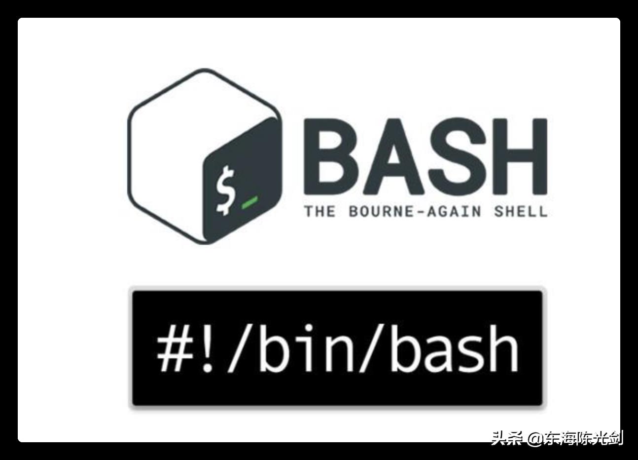 Linux Shell 极简教程：一个例子