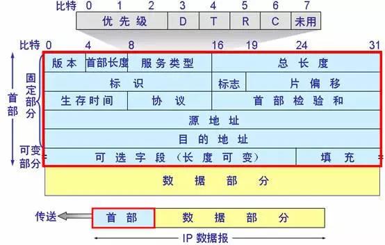 ip数据包的格式