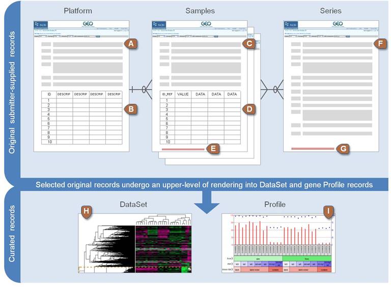 Schematic overview of GEO data submission