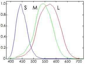 三种视锥细胞（S、M和L类型）对单色光谱刺激的反应,横坐标为光的波长，纵坐标为产生信号的强度