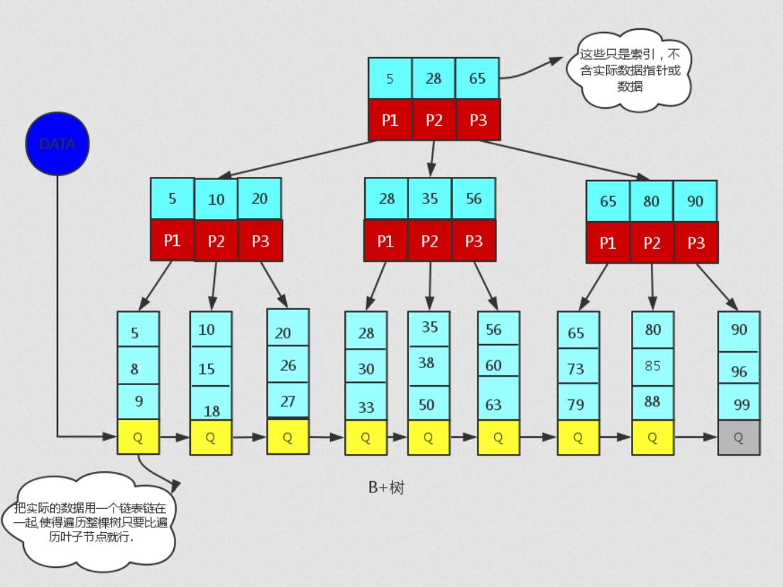 B+ tree