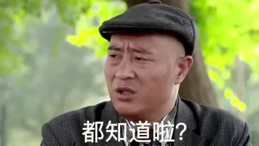 为何某些公司不允许使用 C++ STL？