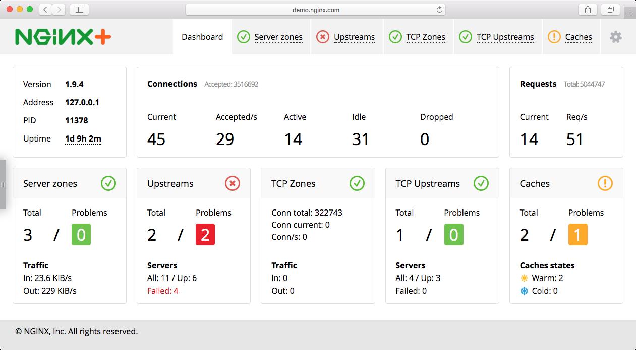 nginx plus 预览