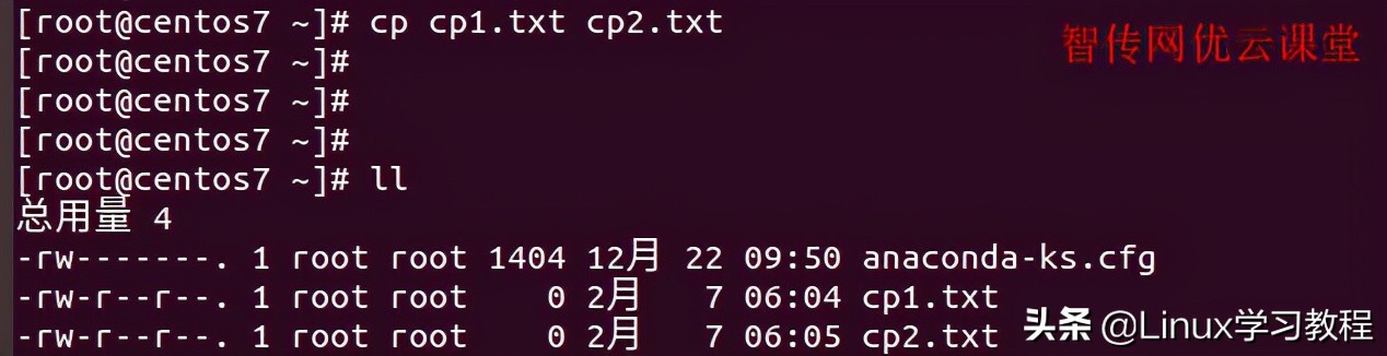 Linux使用命令行复制文件的6个案例