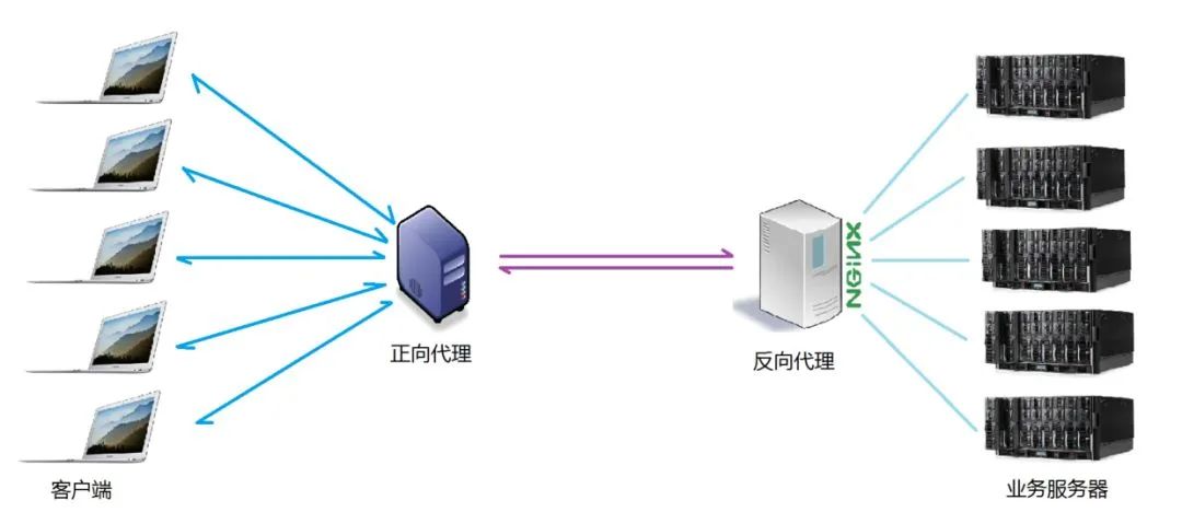 给小白看的：Nginx 从入门到实战