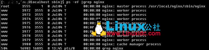 Linux下查看Nginx安装目录、版本号信息?