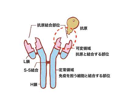 技术图片