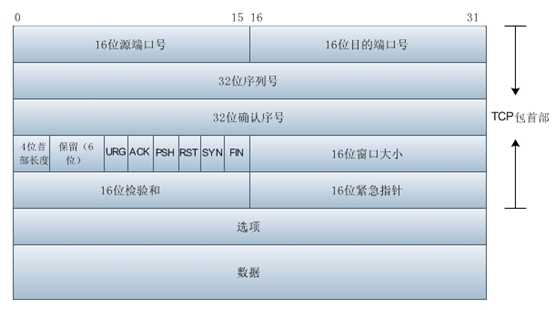 tcp 报文结构