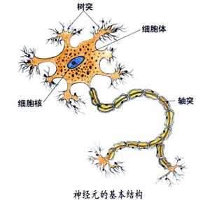 技术图片