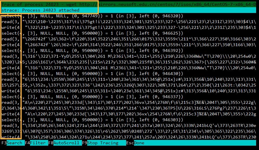 htop 进程跟踪功能