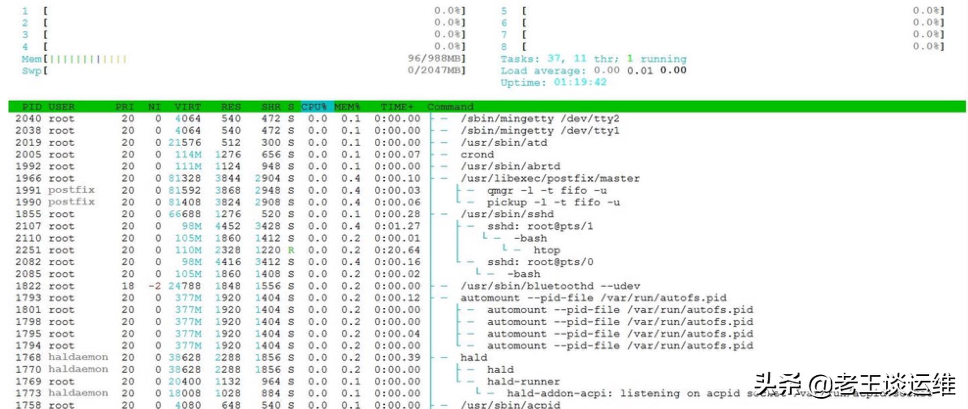 检查Linux内存占用的 5 大命令，你知道几个？