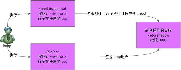 技术图片