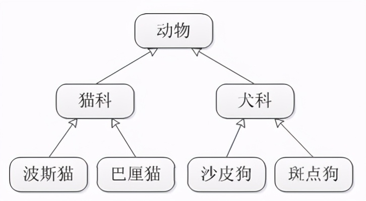 Java教程：什么是继承？Java中如何声明一个类继承另一个类？