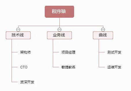 程序猿入坑