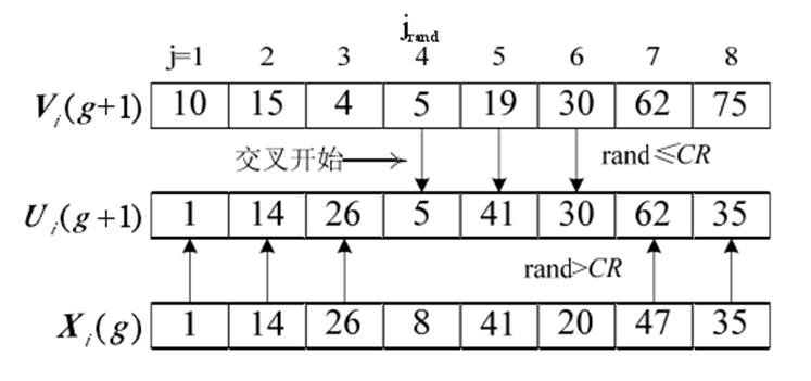 指数交叉过程