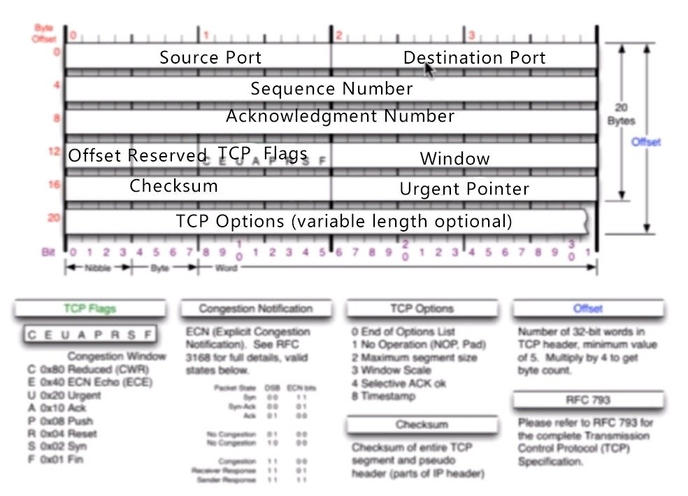 TCP报文头