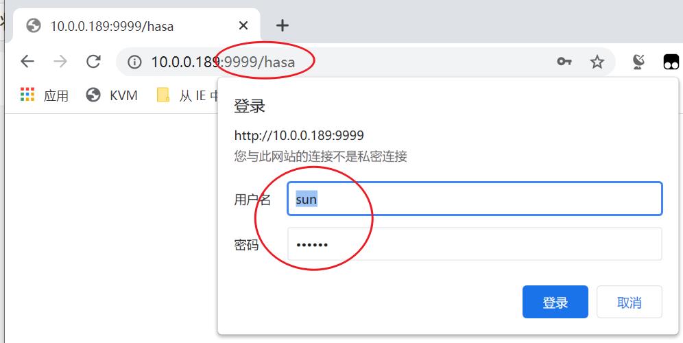 使用自定义链接端口和用户名密码登录