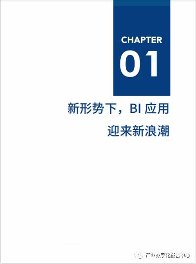 2021年中国BI商业智能应用实践白皮书