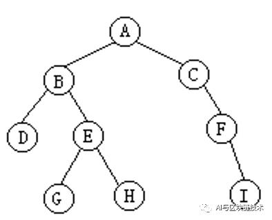 信息学赛培 | 02 树与二叉树必备基本理论（最全）