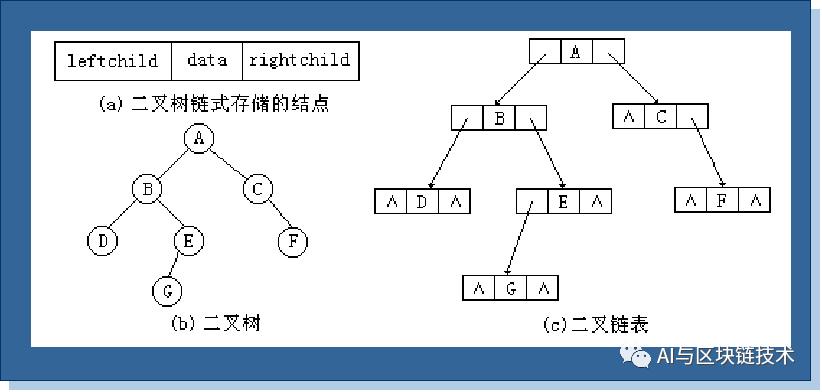 信息学赛培 | 02 树与二叉树必备基本理论（最全）