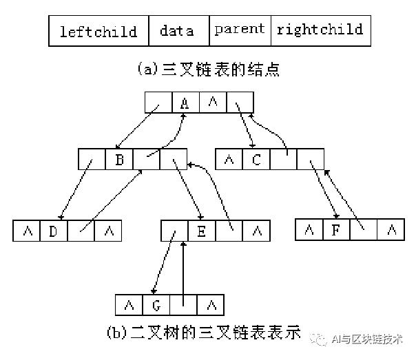 信息学赛培 | 02 树与二叉树必备基本理论（最全）