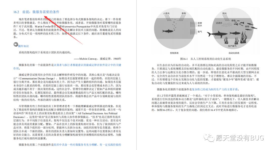 东方的第一本“凤凰架构”竟是出自阿里，手把手教你构建可靠大型分布式系统