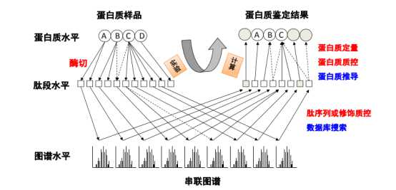 技术图片