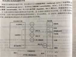 技术图片