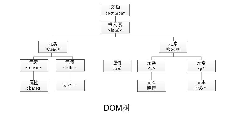 DOM树