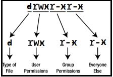 【7】做数据分析，要不要掌握Linux系列：文件权限管理、打包和压缩！