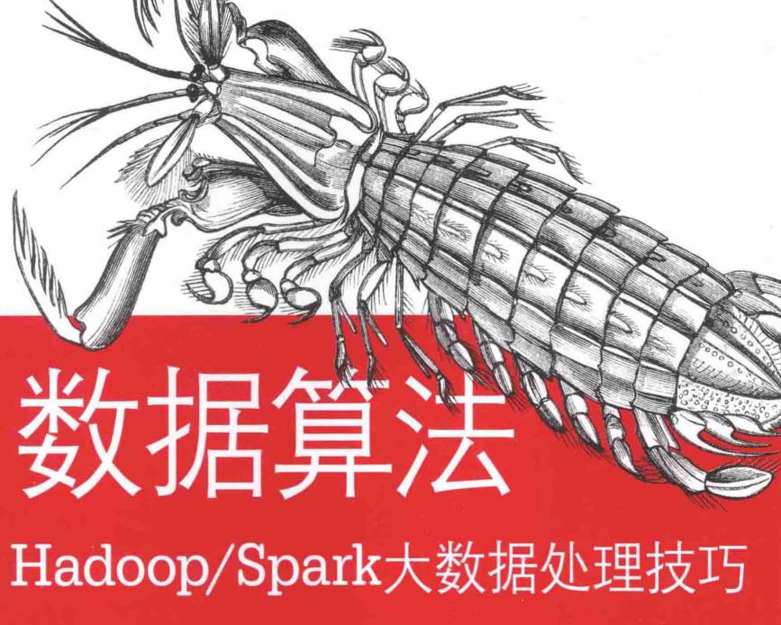 30年开发经验大牛分享：数据算法,Hadoop/Spark大数据处理技巧pdf