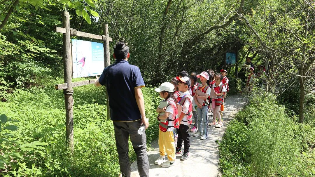 悠森湿地风情，亲近自然秦岭 ——LUA毕业班毕业之旅