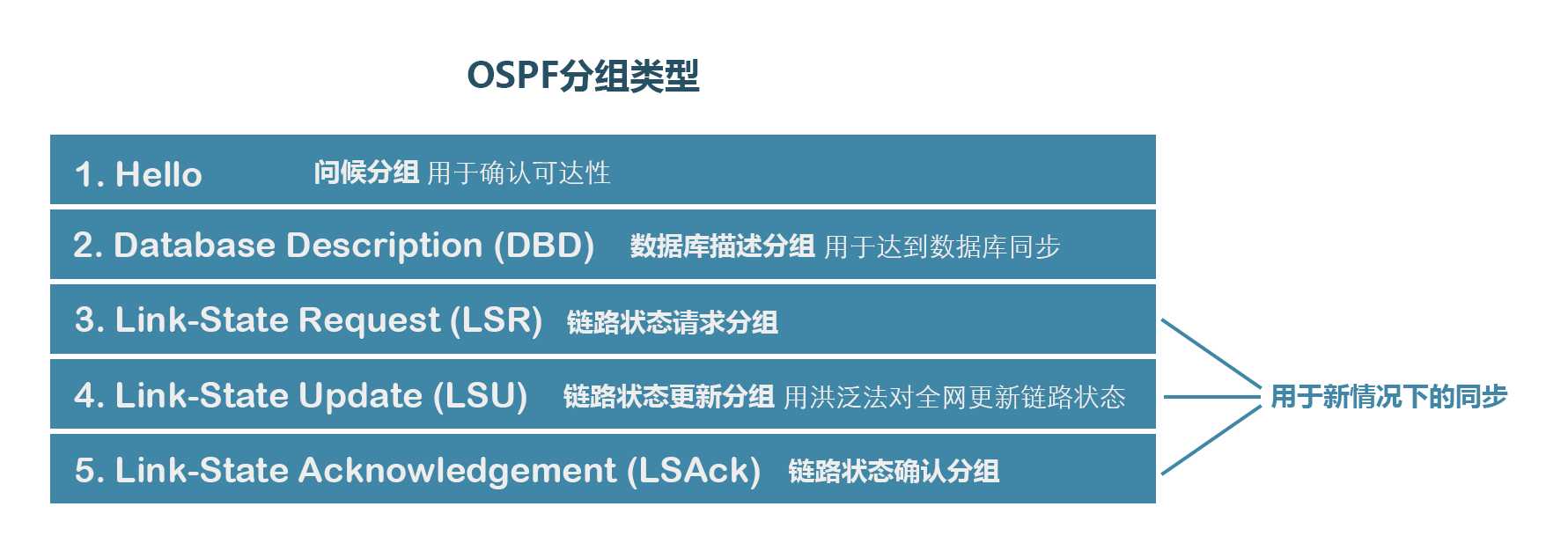 OSPF分组类型