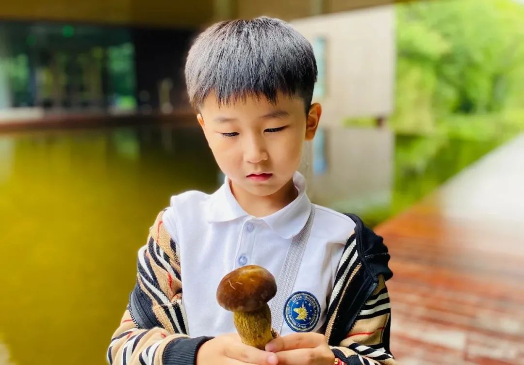 悠森湿地风情，亲近自然秦岭 ——LUA毕业班毕业之旅