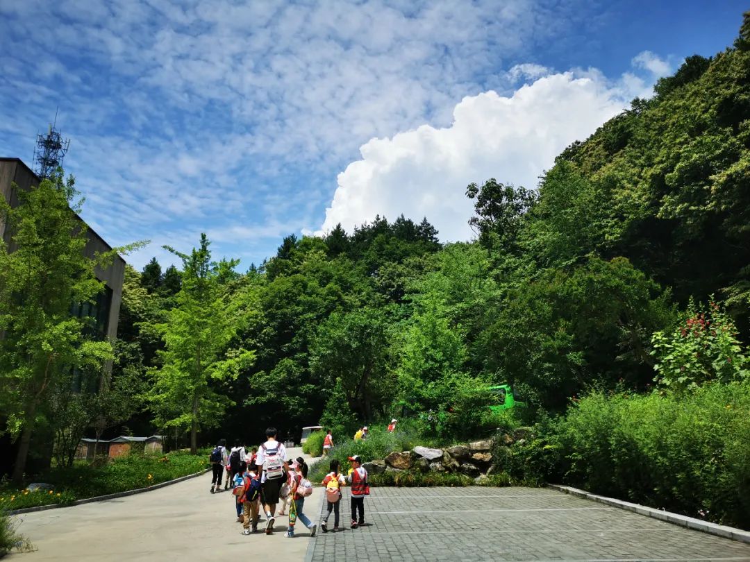 悠森湿地风情，亲近自然秦岭 ——LUA毕业班毕业之旅