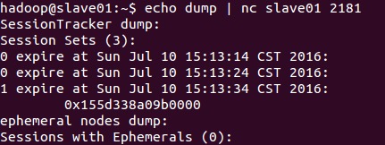 dump_leader