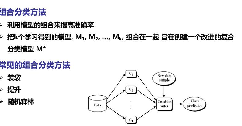 加粗样式