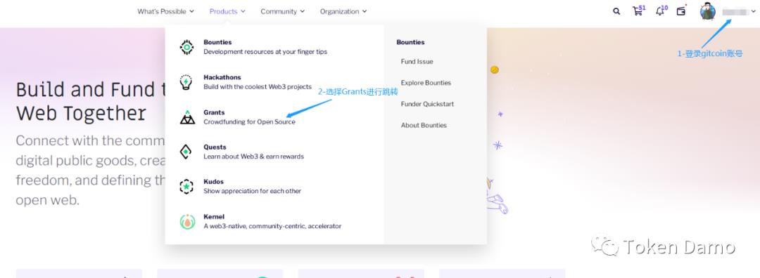 Gitcoin 第十轮Grants捐赠指指南|Damo教程