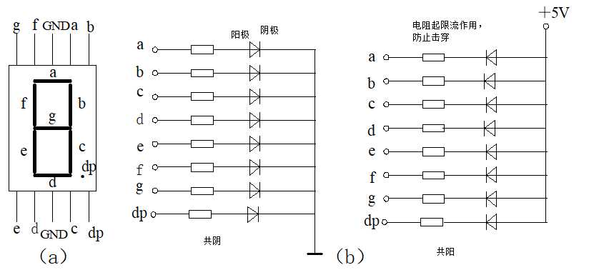 共阴共阳电路图